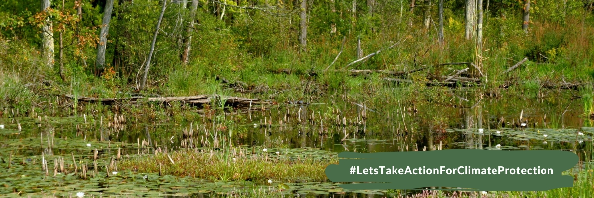 World Wetland Day